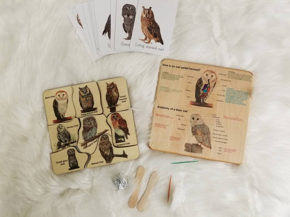 Owl puzzle - owl pellet study - Montessori toys - Waldorf toys - owl toys - wooden toys - stem gift- Montessori materials - wooden puzzle