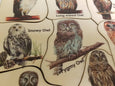 Owl puzzle - owl pellet study - Montessori toys - Waldorf toys - owl toys - wooden toys - stem gift- Montessori materials - wooden puzzle
