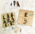 Owl puzzle - owl pellet study - Montessori toys - Waldorf toys - owl toys - wooden toys - stem gift- Montessori materials - wooden puzzle