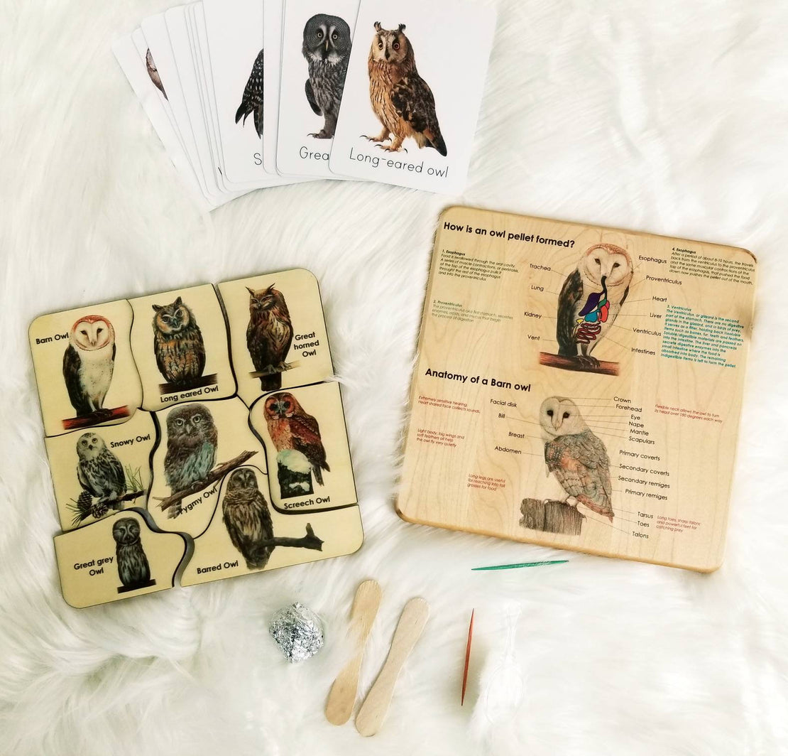 Owl puzzle - owl pellet study - Montessori toys - Waldorf toys - owl toys - wooden toys - stem gift- Montessori materials - wooden puzzle