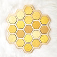 Honey bee puzzle - honeycomb - bee life cycle - types of bees - bee unit study - Montessori - Waldorf