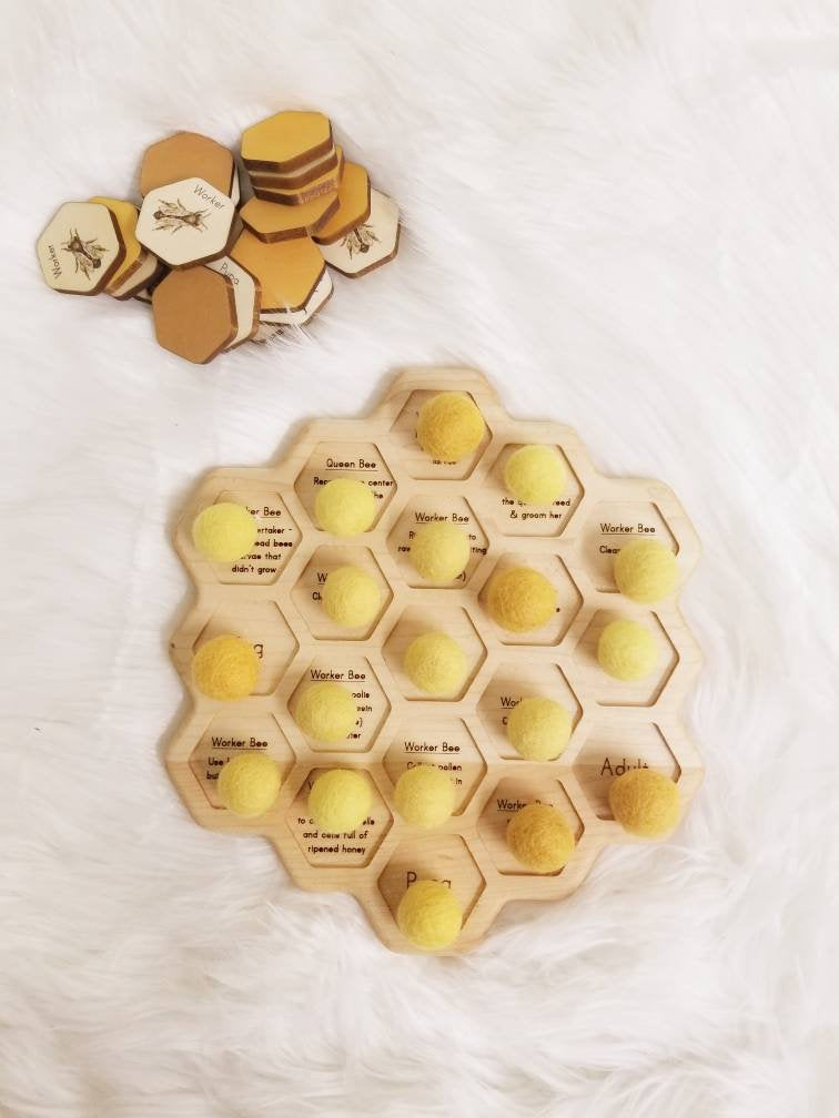 Honey bee puzzle - honeycomb - bee life cycle - types of bees - bee unit study - Montessori - Waldorf
