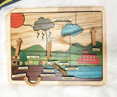 Nitrogen cycle - nature cycles - earth science - Montessori materials - STEM gift - gift for kids - educational toys