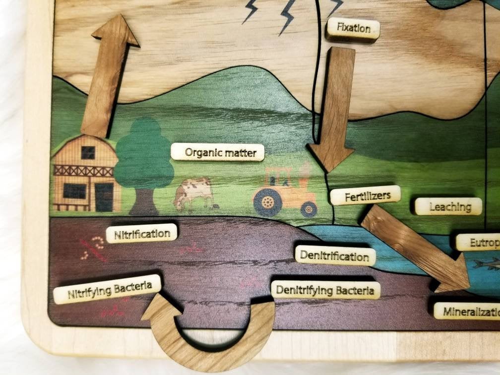 Nitrogen cycle - nature cycles - earth science - Montessori materials - STEM gift - gift for kids - educational toys
