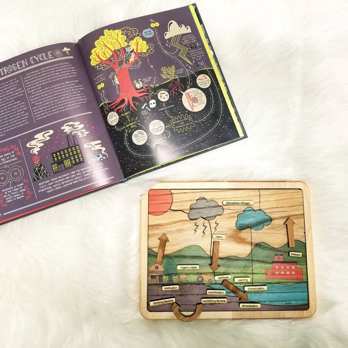 Nitrogen cycle - nature cycles - earth science - Montessori materials - STEM gift - gift for kids - educational toys