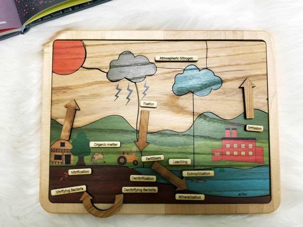 Nitrogen cycle - nature cycles - earth science - Montessori materials - STEM gift - gift for kids - educational toys