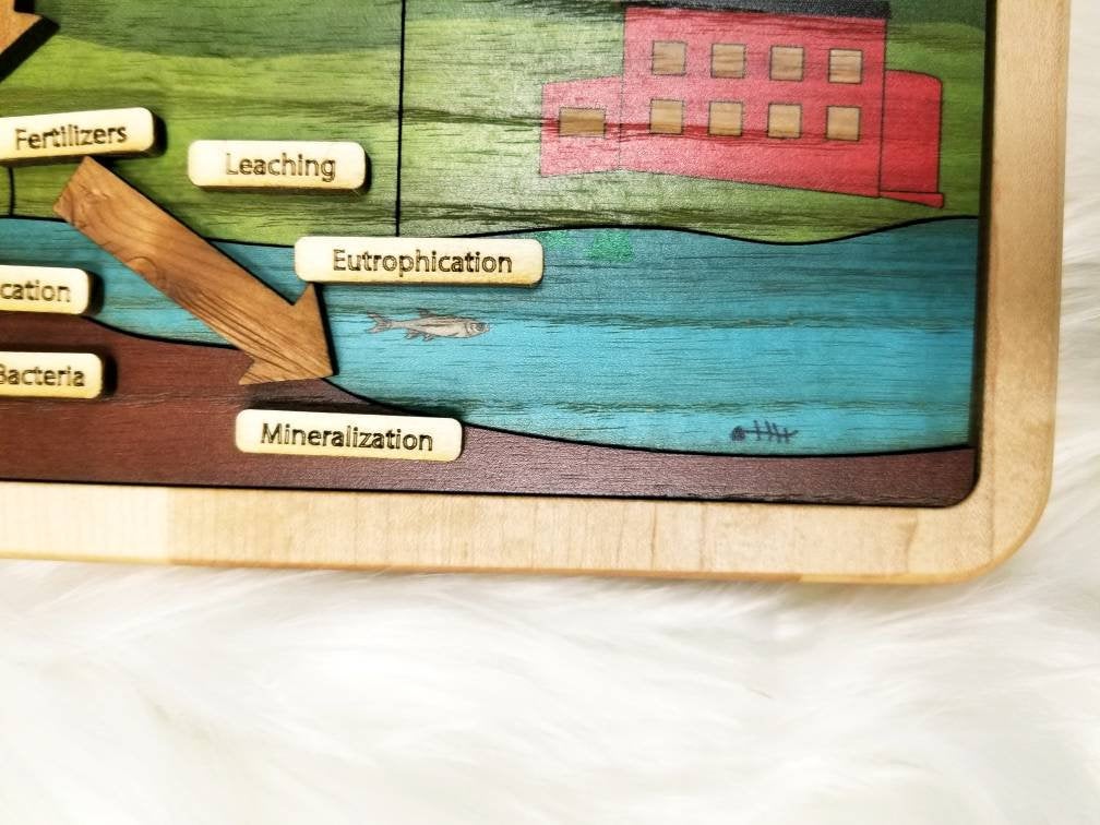 Nitrogen cycle - nature cycles - earth science - Montessori materials - STEM gift - gift for kids - educational toys
