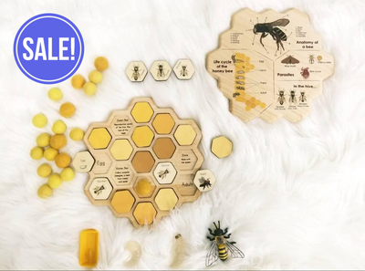 SECONDS/IMPERFECT Honey bee puzzle