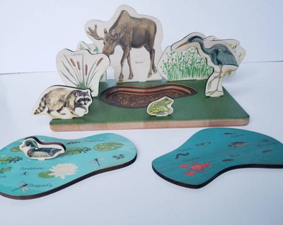 SECONDS/IMPERFECT Pond study - pond ecosystem- layers of a pond