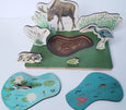 SECONDS/IMPERFECT Pond study - pond ecosystem- layers of a pond