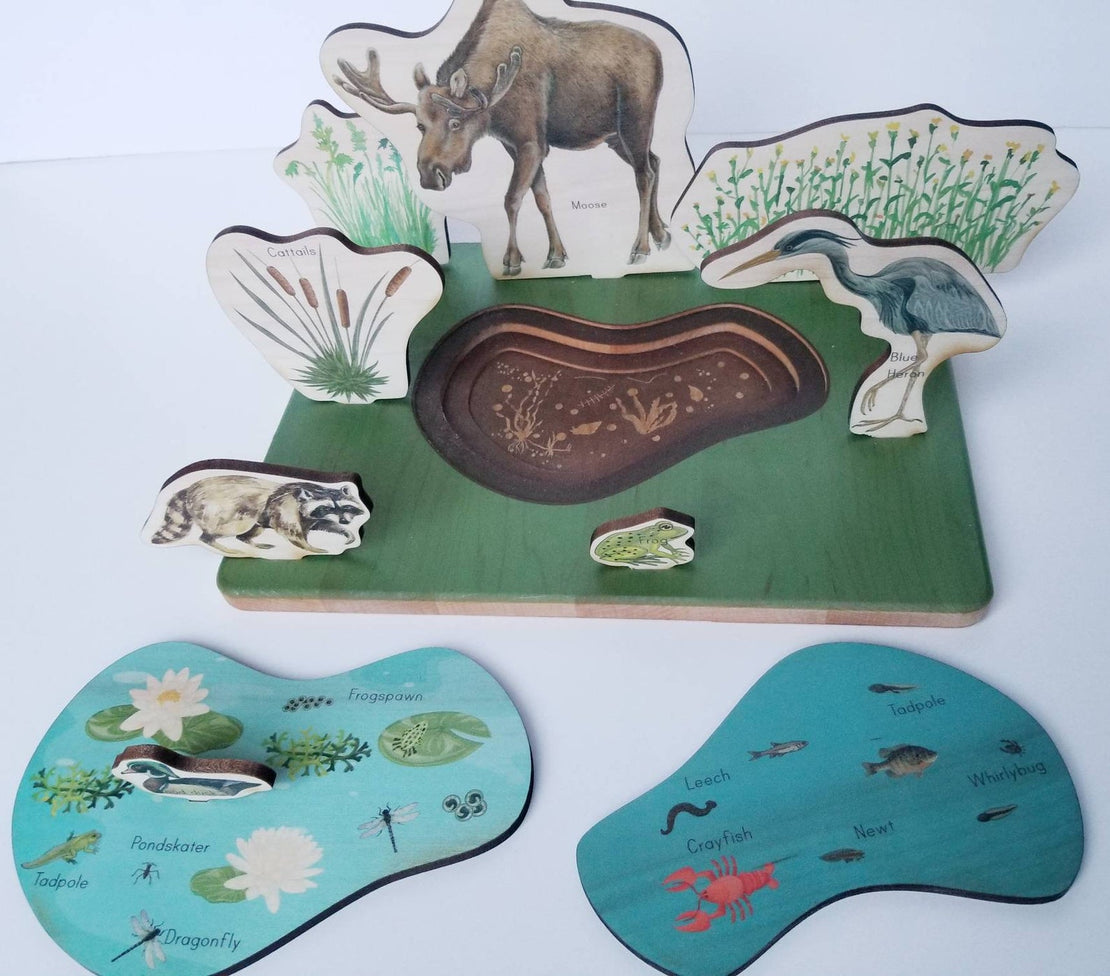 SECONDS/IMPERFECT Pond study - pond ecosystem- layers of a pond
