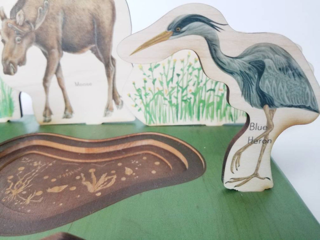 SECONDS/IMPERFECT Pond study - pond ecosystem- layers of a pond