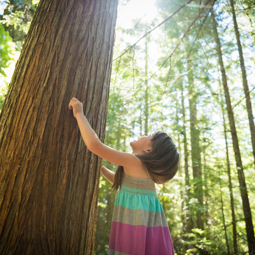 Back to Nature: The Importance of Connecting with the Physical World in Montessori
