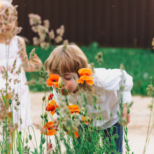 Studying the Spring Equinox in a Montessori Primary Classroom