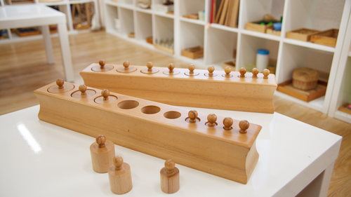 Control of Error and Montessori Materials