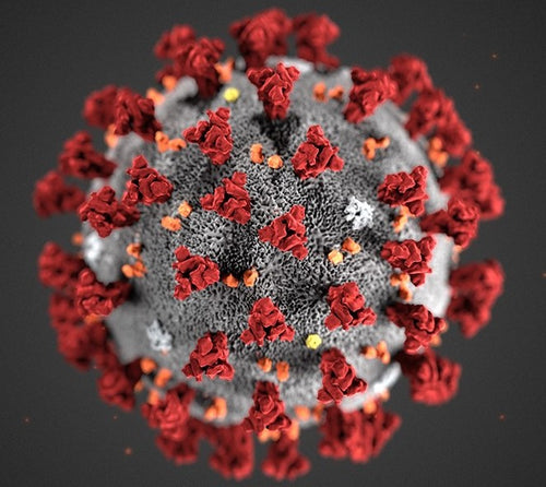 Demonstrate flatten the curve for kids